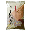 ＼スピード出荷／【 令和7年産】コシヒカリ 精米 5kg (茨城県共通返礼品 かすみがうら市)新米 米 ごはん もっちり 甘い コメ お米 白米[EX010sa]