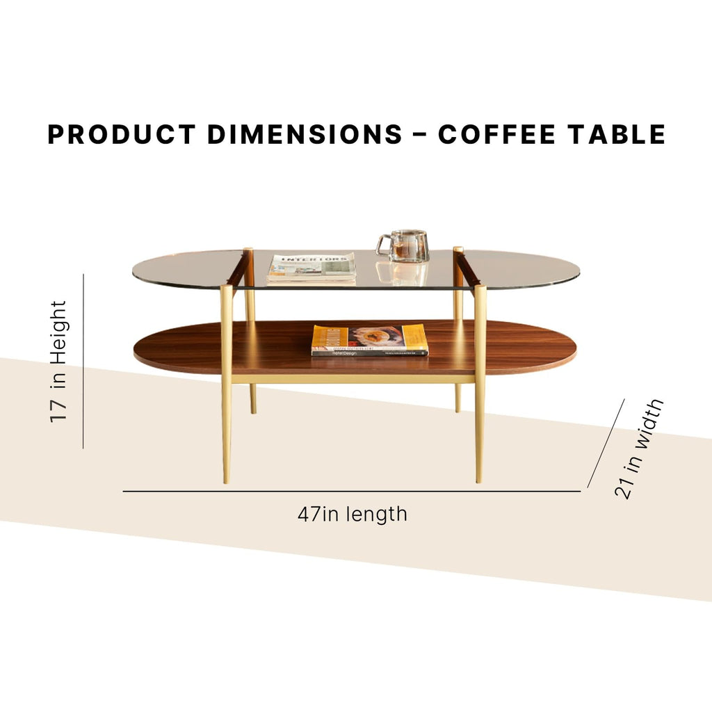 Shrine Oval Coffee Table, Mid-Century Modern Design, 2-Tier Structure, Clear Glass Top and White MDF Shelf, 47" D x 21" W x 17" H, Sleek Conical Metal Legs with Gold Finish