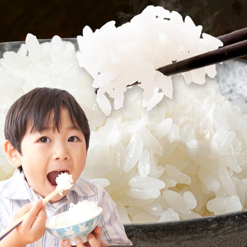 【トクベツな寄附額】岡山ふるさと無洗米 10kg《12月24日まで：年内出荷/以降は30日以内に出荷予定(土日祝除く)》岡山県 備前市 お米 国産