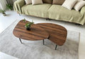 Nesting Coffee Table Set of 2 Coffee Tables Nesting Tables for Living Room Wooden Small Table Triangle Walnut Mid-Century Modern